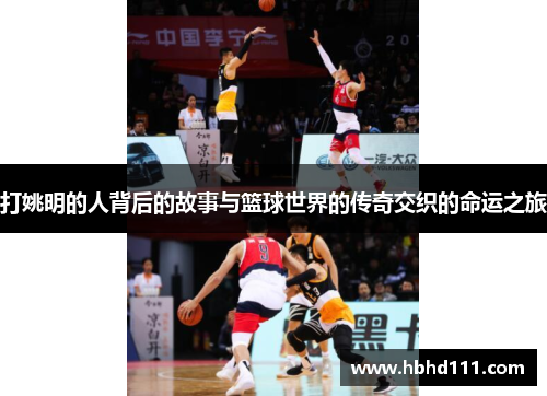 打姚明的人背后的故事与篮球世界的传奇交织的命运之旅